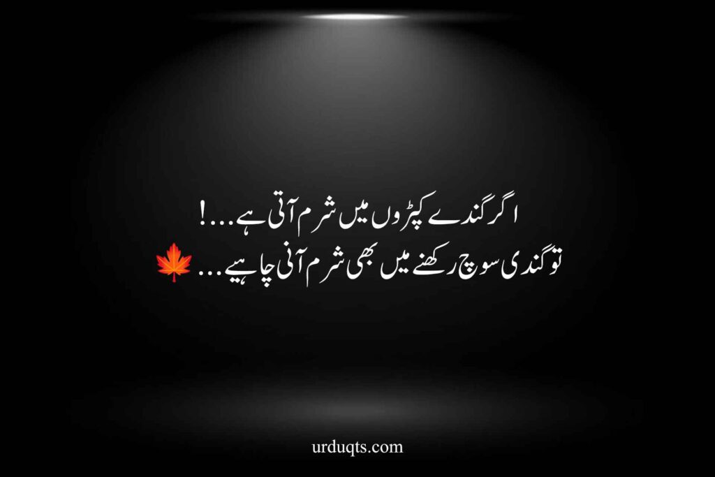Urdu Quotes About Life Lessons